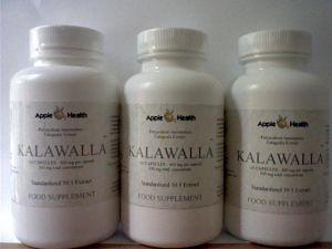 Apple Health Kalawalla 300mg Polypodium Leucotomos 50.1 Standardised ext. (120 vegcaps)